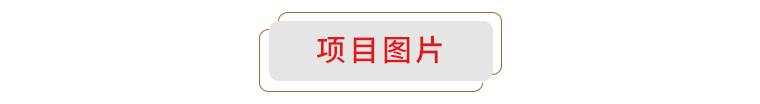 廣西華錫集團(tuán)股份有限公司15220萬(wàn)股股份(占總股本的9.581%)（廣西華錫集團(tuán)股份有限公司上市）