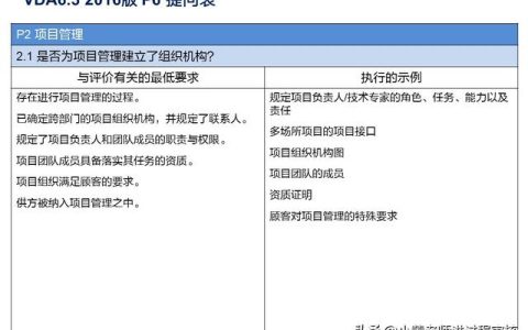 VDA6.3提問P2.1解析：項(xiàng)目組織機(jī)構(gòu)的常見問題