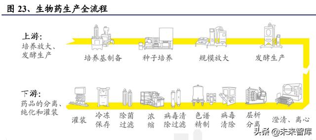 醫(yī)藥生物行業(yè)研究及中期策略：把握醫(yī)藥產(chǎn)業(yè)升級下的新紅利（生物醫(yī)藥產(chǎn)業(yè)布局）